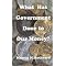 My Favorite Economics books