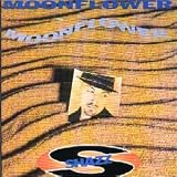 Moonflower