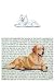 American Eskimo Glass Cutting Board