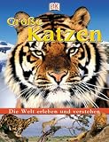 Die Welt erleben und verstehen. Große Katzen
