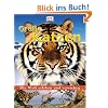 Die Welt erleben und verstehen. Gro�e Katzen