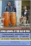 CONGA LESSONS AT THE BAY OF PIGS. Three American filmmakers visit Cuba (with which the U.S. Government prohibits commercial contact) and soon realize that they cannot visit Cuba only for its music; that the American Economic Embargo dominates everything.