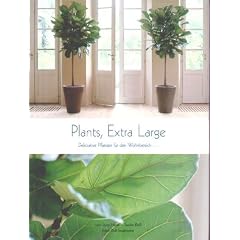 Plants. Extra Large. Dekorative Pflanzen f�r den Wohnbereich