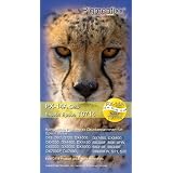 Pigmentixx PX-14A (gelb) 15ml - Druckerpatrone - Tintenpatrone Ersetzt Epson T0714 (weitere Farben: Multipack T0715, T0711, T0712, T0713) Kompatible Druckermodelle, Kompatibel mit:Epson Stylus D78, D92, D120, DX4000, DX4050, DX4400, DX4450, DX5000, DX5050, DX6000, DX7000F, DX7400, DX7450, DX8400, BX300F, BX610FW, BX310F, BX340F, BX600FW, S21, S20von "Pigmentixx"
