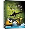 Incredible Creatures That Defy Evolution II