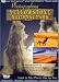 Search : Photographing Yellowstone National Park