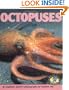 Octopuses (Early Bird Nature)