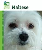 Maltese (Animal Planet Pet Care Library)