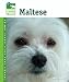 Maltese (Animal Planet Pet Care Library)