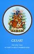 Gesar!: The Epic Tale of Tibet's Great Warrior-King (Tibetan Art and Culture Series)