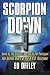 Books : Scorpion Down