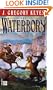The Waterborn (Chosen of the Changeling, Book 1)