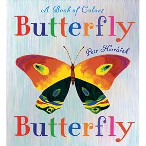 Butterfly Butterfly