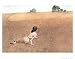 Christina's World, 1948 Styles Art Poster Print by Andrew Wyeth, 30x24
