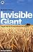 Invisible Giant: Cargill and its Transnational Strategies