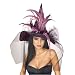 Purple Feathered Adult Witch Hat Adult (One-Size)