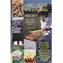 The ABC & XYZ of Bee Culture: An Encyclopedia Pertaining to the Scientific and Practical Culture of Honey Bees