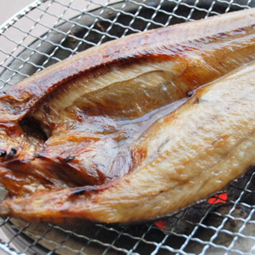 【かなはし水産】【北海道羅臼産】真ほっけ（特大）1枚