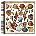 C.R. Gibson Square Tim Coffey Slim Compact Journal Album, Nautilus