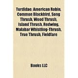 Turdidae: American Robin, Common Blackbird, Song Thrush, Wood Thrush, Island Thrush, Redwing, Malabar Whistling-Thrush, True Thr