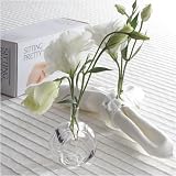 Sitting Pretty Glass Vase/Napkin Rings - Set of 4 by Twos Company