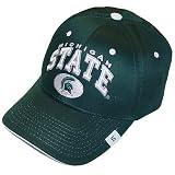 Michigan State Spartans Zephyr Team Color Sport Cap