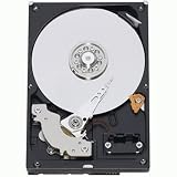 Western Digital RE3 Enterprise 320 GB 3.5-Inch, 16 MB Cache, 7200 RPM SATA II Bulk/OEM Hard Drive WD