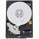 Western Digital RE3 Enterprise 320 GB 3.5-Inch, 16 MB Cache, 7200 RPM SATA II Bulk/OEM Hard Drive WD
