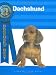 Dachshunds (Breeders' Best)
