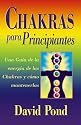 Chakras para principiantes: una guia para balancear la energia de sus chakras (Spanish Edition)