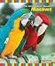 Macaws (Birdkeepers' Guides)