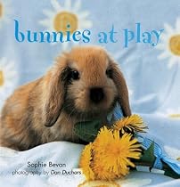 Bunnies at Play