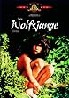Der Wolfsjunge