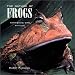 The Nature of Frogs: Amphibians with Attitude