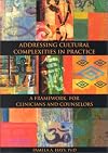 Addressing Cultural Complexities in Practice: A Framework for Clinicians and Counselors