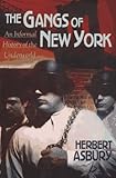 The Gangs of New York: An Informal History of the Underworld
