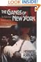 The Gangs of New York: An Informal History of the Underworld