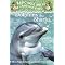 Dolphin Homeschool Unit Study Ages 4-7