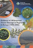 Evidence of widespread ozone damage to vegetation in Europe (1990-2006)