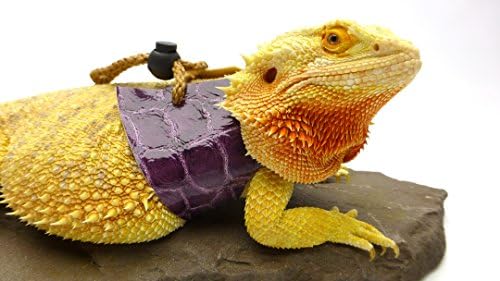 Ogle Lizard Leash, Limited Edition Purple Scales (extra-large size)