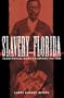 Slavery in Florida: Territorial Days to Emancipation