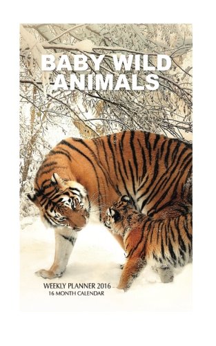 Baby Wild Animals Weekly Planner 2016: 16 Month Calendar