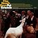 Pet Sounds