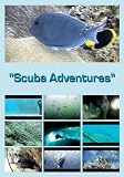 Scuba Adventures