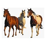 Review McCalls  / Wild and Free Horses Mural- Small