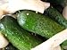 Premium Pickles: The Ultimate Collection of the World's Finest Pickle Recipes