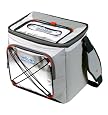 California Innovations Arctic Zone 30 Can IceCOLD Collapsible Cooler