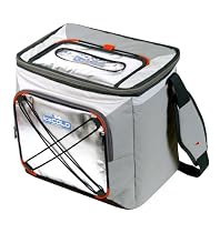 Arctic Zone 30 Can High Performance Ice Cold Cooler (Color May Vary)