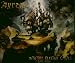 Ayreon-Into the Electric Castle