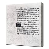 Dettagli prodotto